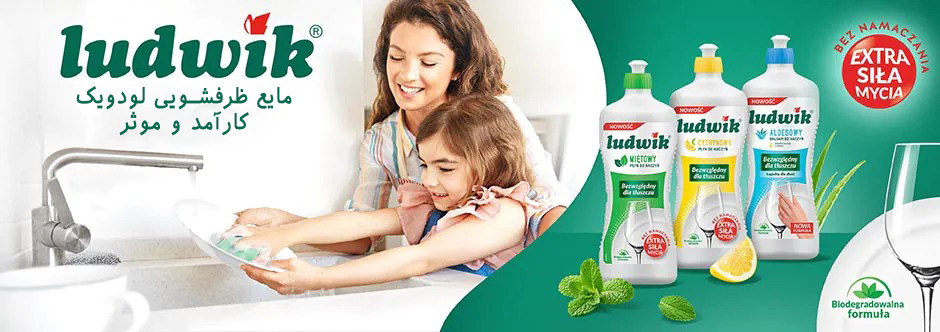 مایع ظرفشویی لودویک