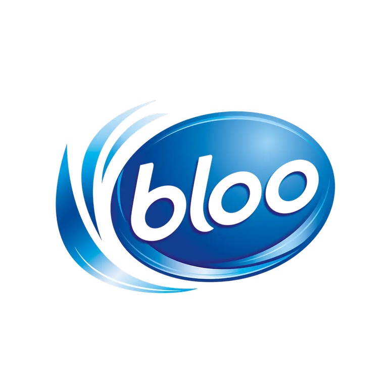 لوگو برند bloo