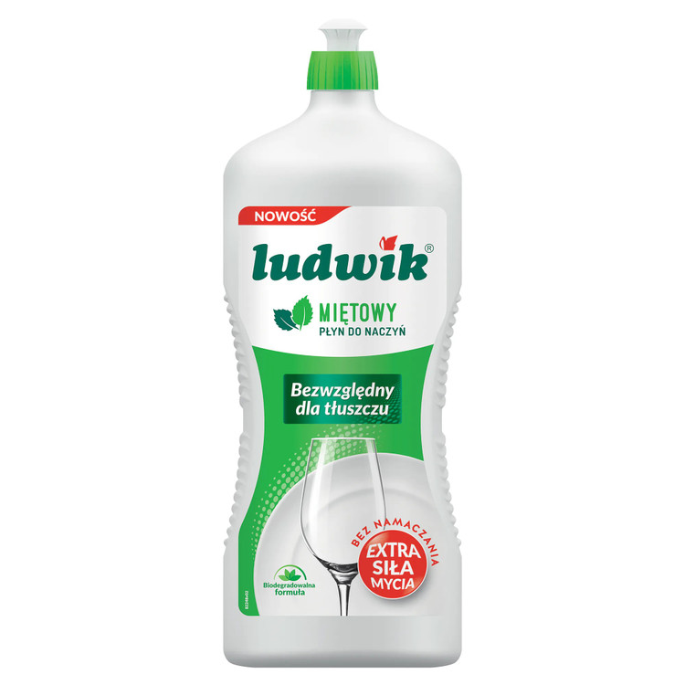 مایع ظرفشویی 1350 گرمی لودویک با رایحه نعنا